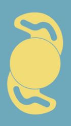 lens icon